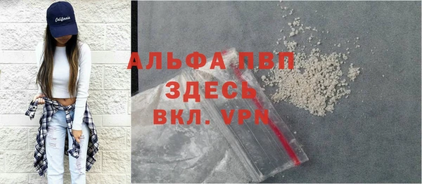 спиды Новозыбков